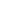 sucess-project