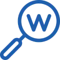 Keywords used in titles, captions, tags, descriptions